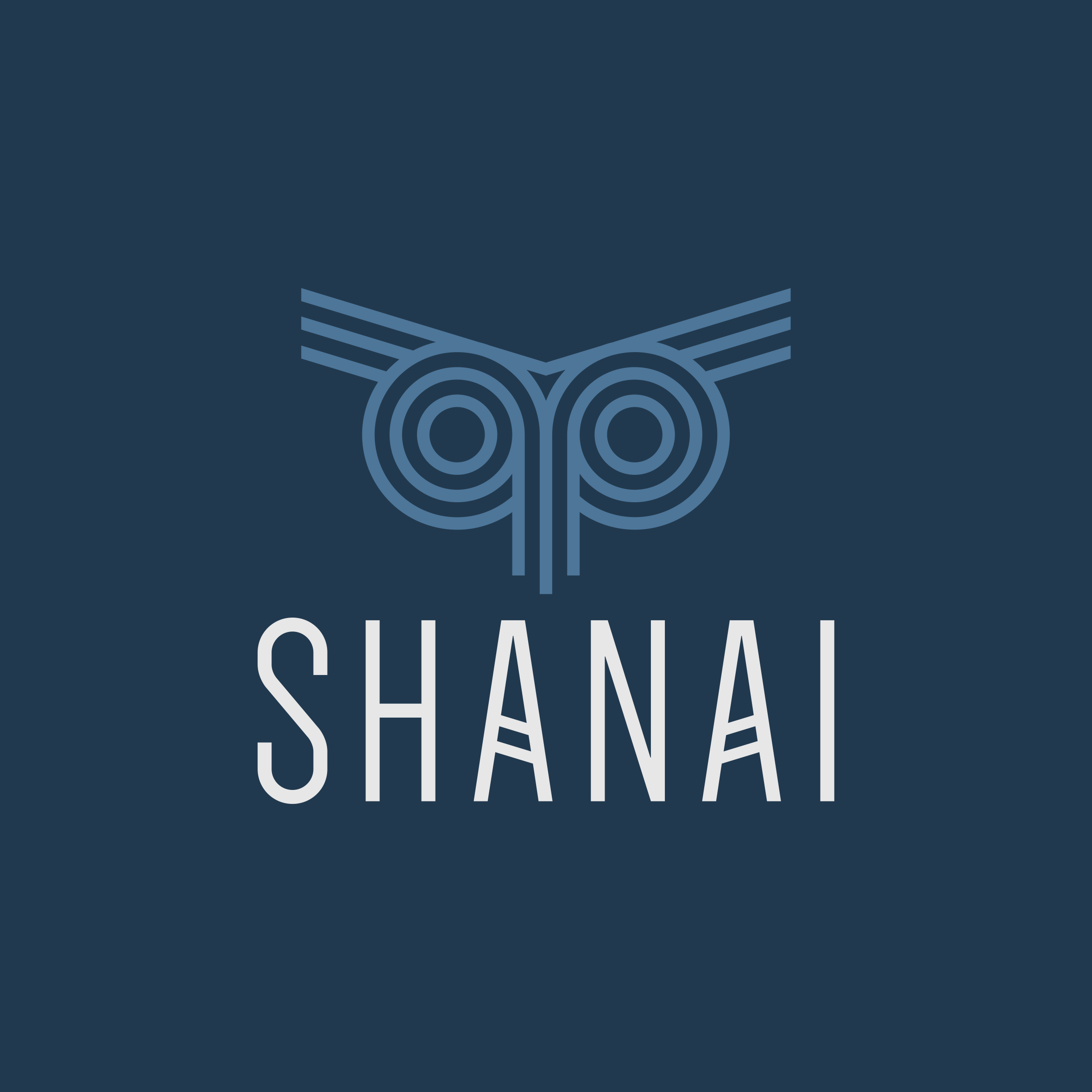 Shanai LTD - Ai Strategy & Innovation Consulting
