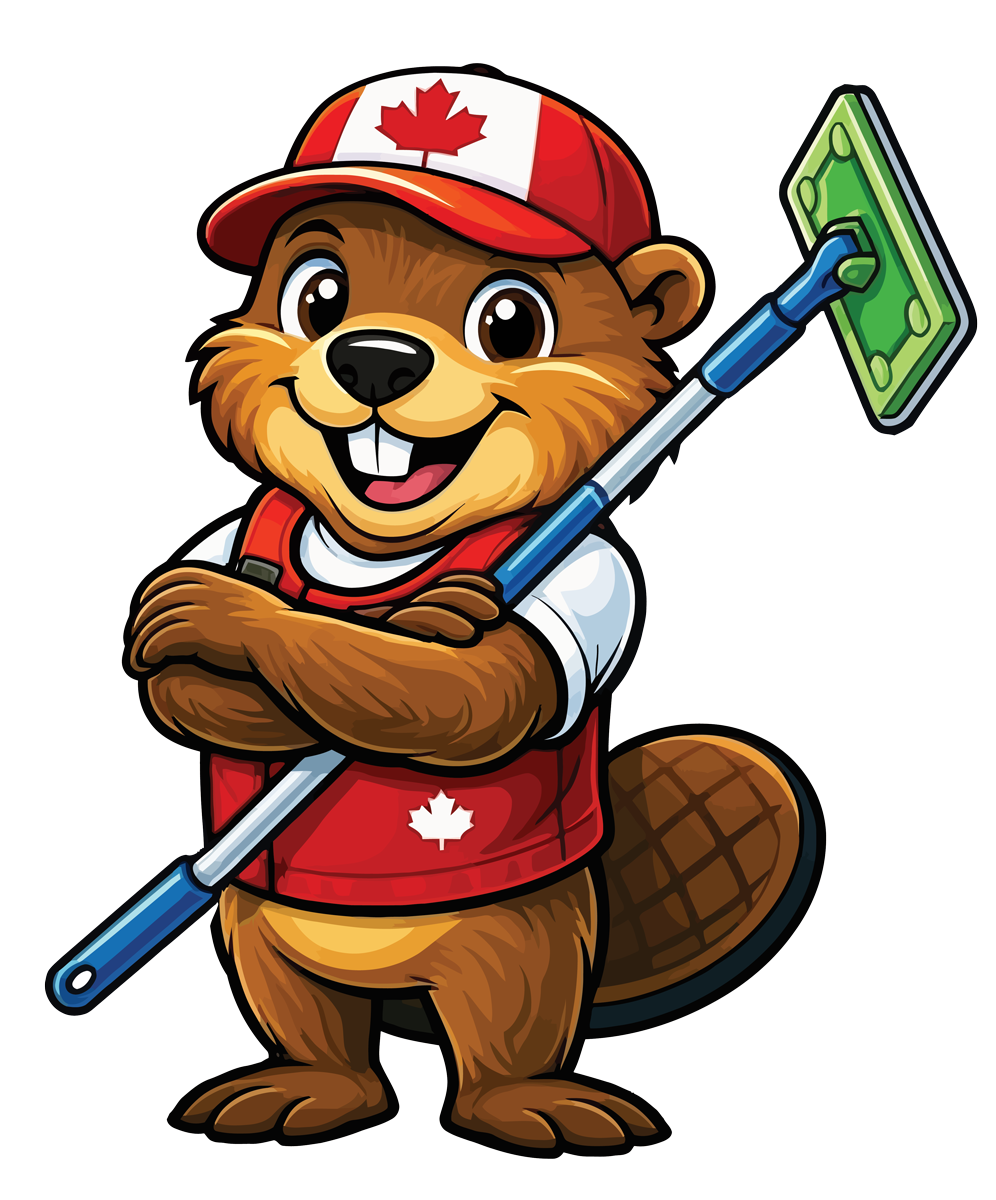 Ahmad Moudallal - Cleanadian Services Corp.